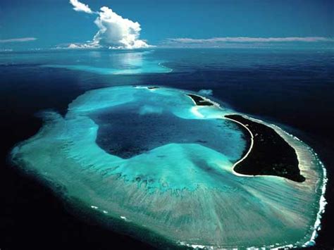 Palau The Black Islands One Of 7 Underwater Wonder Of The World