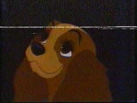 Vhs Preview From The Lady And The Tramp Walt Disney Home Video Aus