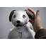 Sony’s Facial Recognition Robot Dog Banned In Illinois
