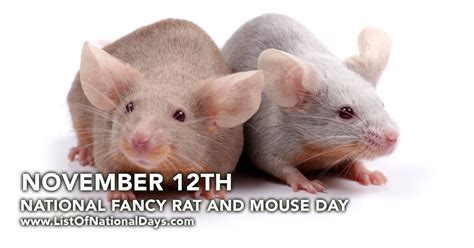 National Fancy Rat And Mouse Day November 12th