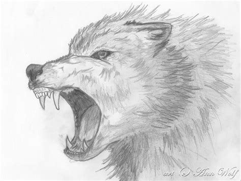 Angry Wolf By Kuutulensudet On Deviantart