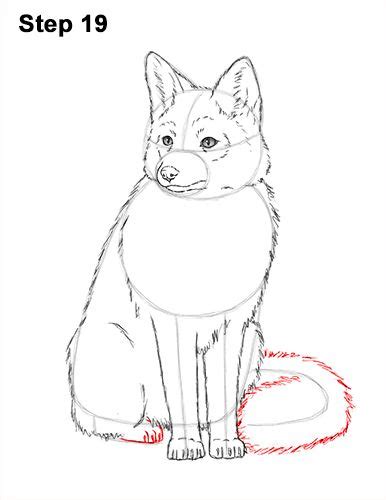 Draw A Red Fox Sitting 19 Fox Drawing Drawing Sketches Drawing Ideas