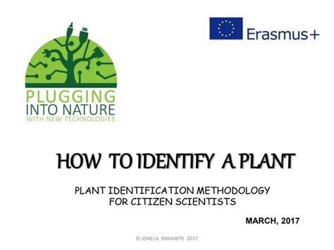 Pin Plant Identification Methodology Ppt