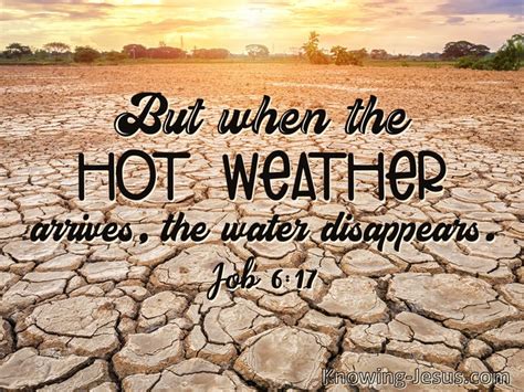 Bible Verses About Drought