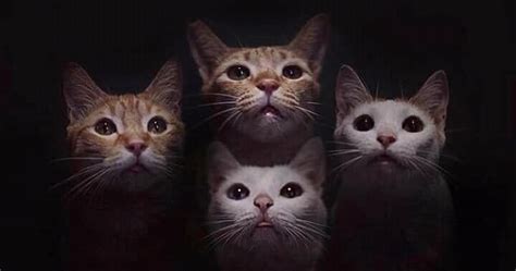 Penggunaan pantun untuk mengungkapkan cinta terbilang cara baru yang segar, kreatif, dan inovatif. Pantun stress dua kerat pun stress