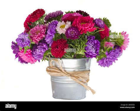 Bouquet Of Aster Flowers In Vase Stock Photo Alamy