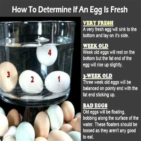 How Do I Know When My Eggs Are Bad Whodoto