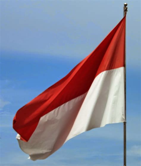 Gambar Bendera Indonesia Gif Gambar Animasi Bergerak Merah