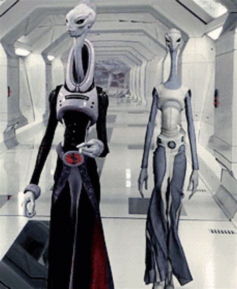 Kaminoans Star Wars Species Star Wars Images Alien Concept Art