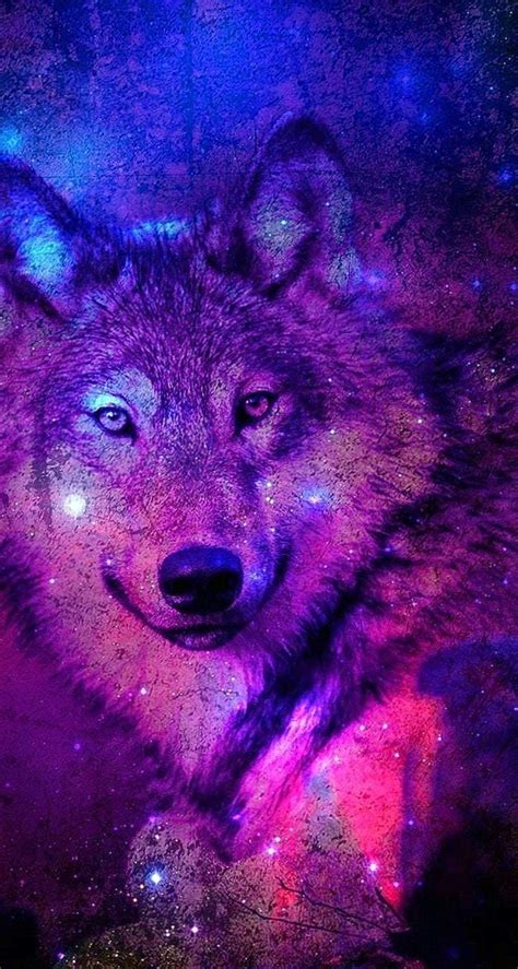 Best Galaxy Wolf Wallpapers Wolf Wallpaperspro