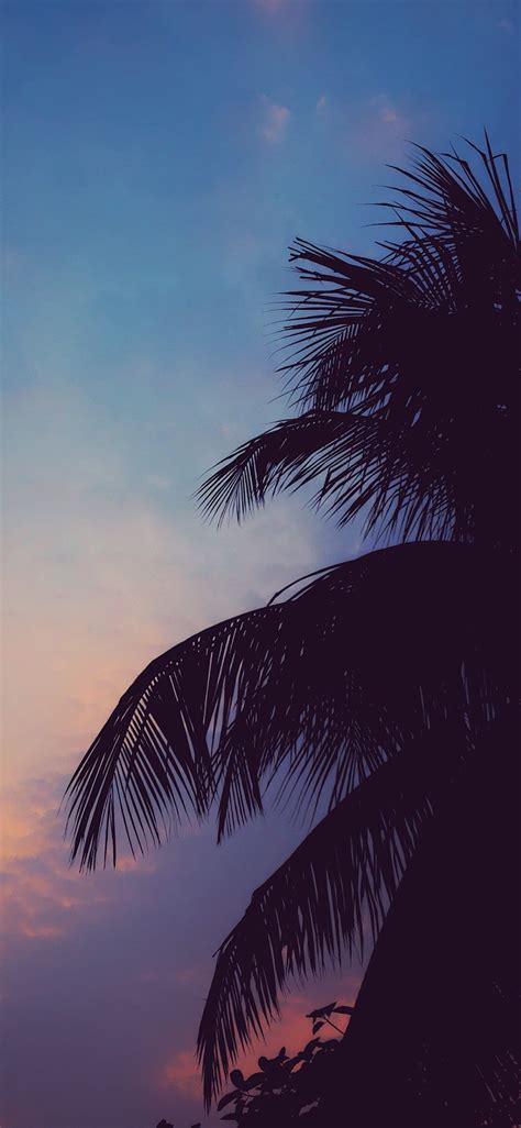 Chill Vibes Chill Wallpaper Scenery Wallpaper Sky Aesthetic