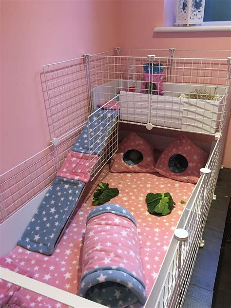 Fleece Candc Guinea Pig Cage Set Up Diy Guinea Pig Cage Guinea Pig