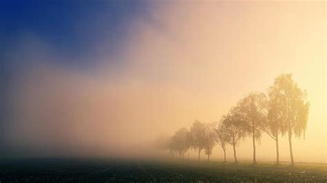Landscape Morning Nature Fog Early In The Morning Sunrise Skies