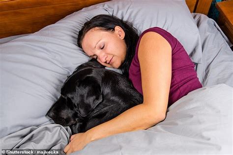 Dormire Con Il Cane Nel Letto Ci Rende Pi Sicuri