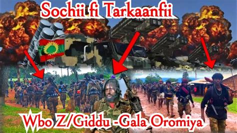 Sochii Fi Tarkaanfii Wbo Zgiddu Gala Oromiya Youtube