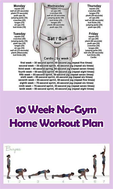 10 Week No Gym Home Workout Plan Exercises Tone N