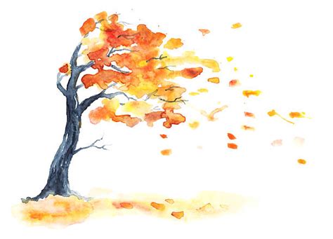 9900 Tree Watercolor Black Stock Photos Pictures And Royalty Free