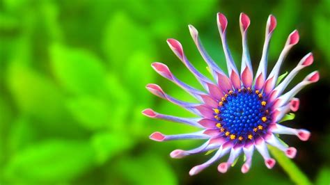 More than 500 free 4k wallpapers for your phone, desktop, website or more! 47+ Awesome 4K Wallpapers on WallpaperSafari