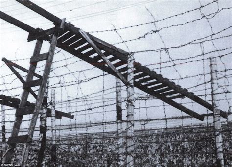 World War Two Pow ‘up And Over Great Escape Story Told For First Time