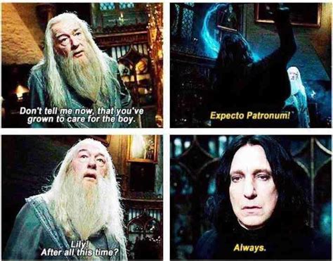 Severus The Pensieve