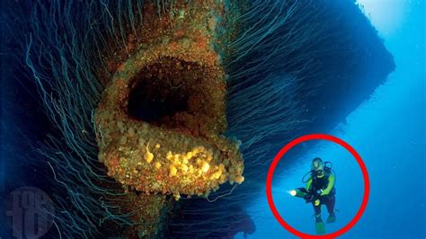 10 Biggest Underwater Creatures In The World Youtube