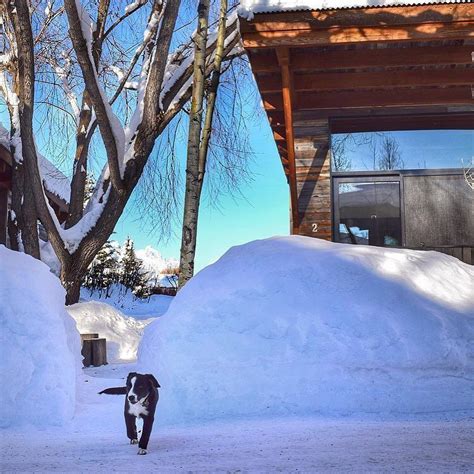 This level allows you to control joel and ellie alternately. Pet friendly cabins just minutes from Jackson Hole ...