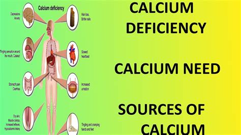 how much calcium does our human body needcalcium supplements when you