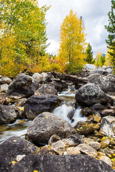 Autumn Woods And Creek Stock Image Image Of Rocks Stone 81471199