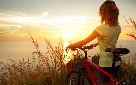 Wallpaper Sunlight Sunset Bicycle Grass Vehicle Field Evening