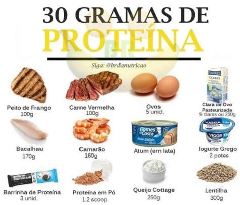 G De Prote Na Prote Na Prote Na Nos Alimentos Alimentos Para C Es