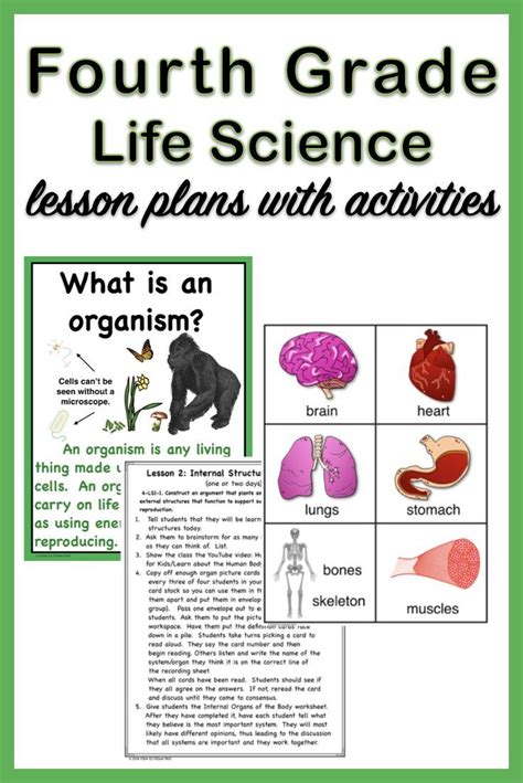 Science Lesson Plans For 4th Graders