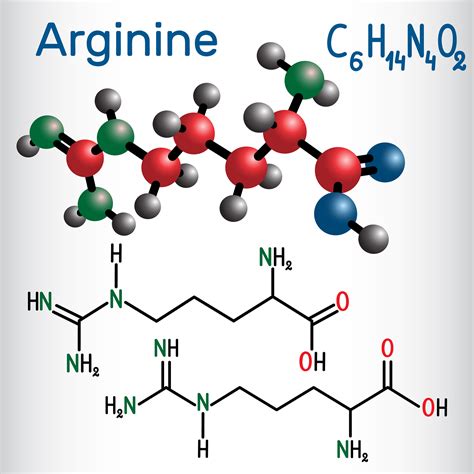 What Is Arginine Lab Results Explained