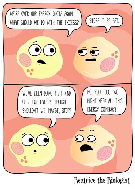 Image Result For Cell Membrane Jokes Biology Humor Biology Jokes