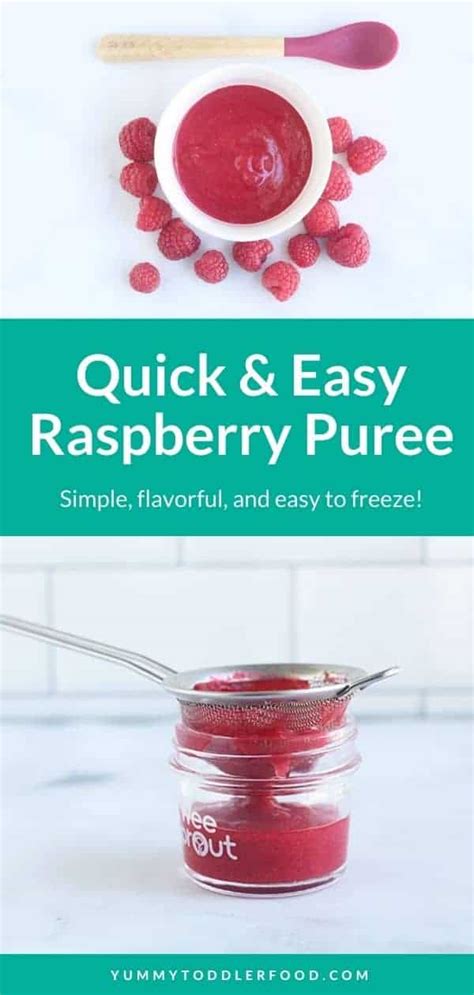 Fresh Raspberry Puree 5 Minutes To Make And Easy To Freeze Product4kids