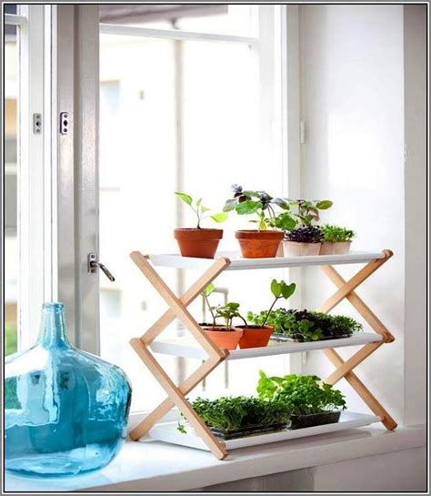 Using a ikea mosslanda picture ledge, i added a couple of supports and transformed it into a window sill shelf to allow me to add more plants. Indoor Window Plants Plant Shelves For Window Sills ...