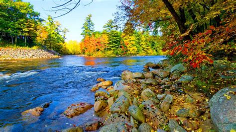 Beautiful Colorful Autumn River Foliage Hd Nature Wallpapers Hd