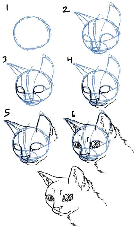 Savanna Williams How To Draw Cats Faces Heads