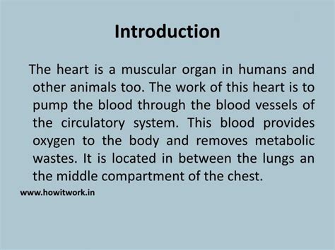 Ppt How Does The Human Heart Works Powerpoint Presentation Id7665697