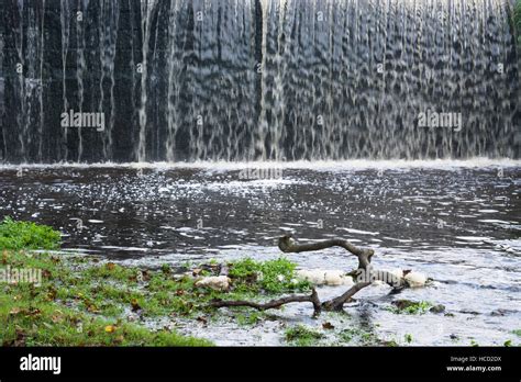 Waterfall And Tree Branch Stock Photo Alamy
