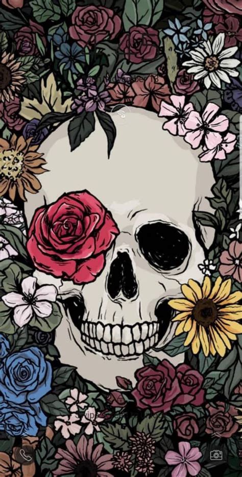 Pin By 아리아나♡ On Nice Skull Wallpaper Skeleton Art