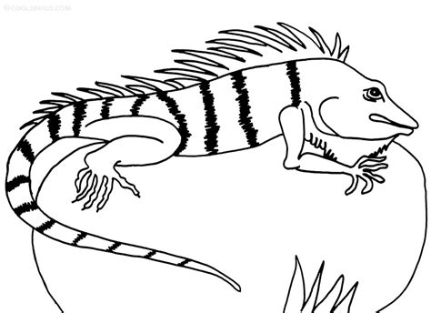 Printable Iguana Coloring Pages For Kids
