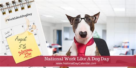 National Work Like A Dog Day August 5 National Day Calendar