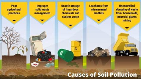 Soil Pollution Notes Meaning Causes Effects And Prevention Steps