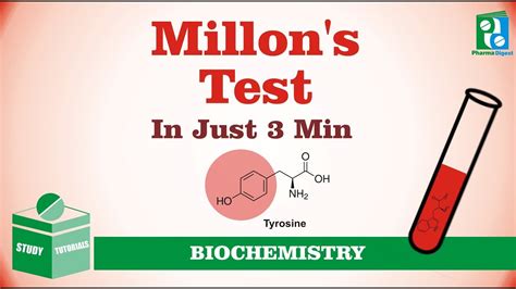Protein is an essential nutrient that builds muscle in the body. Millon's Test Just in 3 min - YouTube