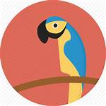 Animal Jungle Parrot Clipart Icon Zoo Svg