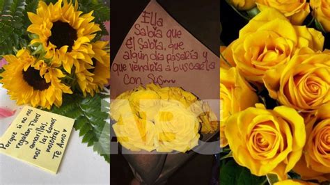 Flores Amarillas ¿por Qué Se Regalan El 21 De Septiembre Abc Noticias