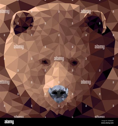Vector Bear In Low Poly Style Stock Vector Image And Art Alamy
