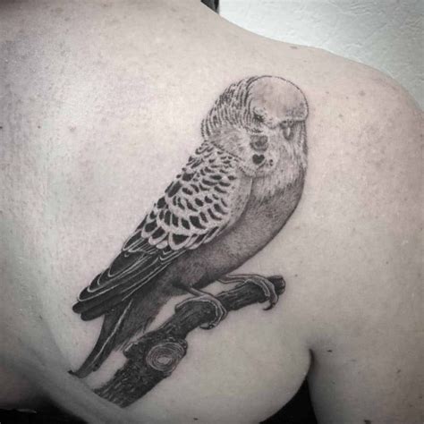 Tattoo Parrot | Best Tattoo Ideas Gallery