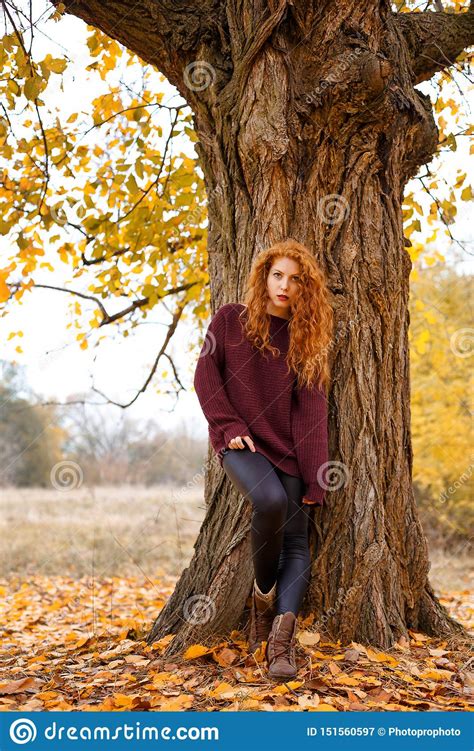 Sweet Girl In The Autumn Forest Loneliness And Melancholy Stock Image