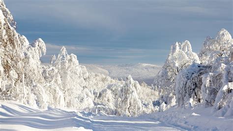 4514539 Nature Snow Clouds Water Trees Rare Gallery Hd Wallpapers